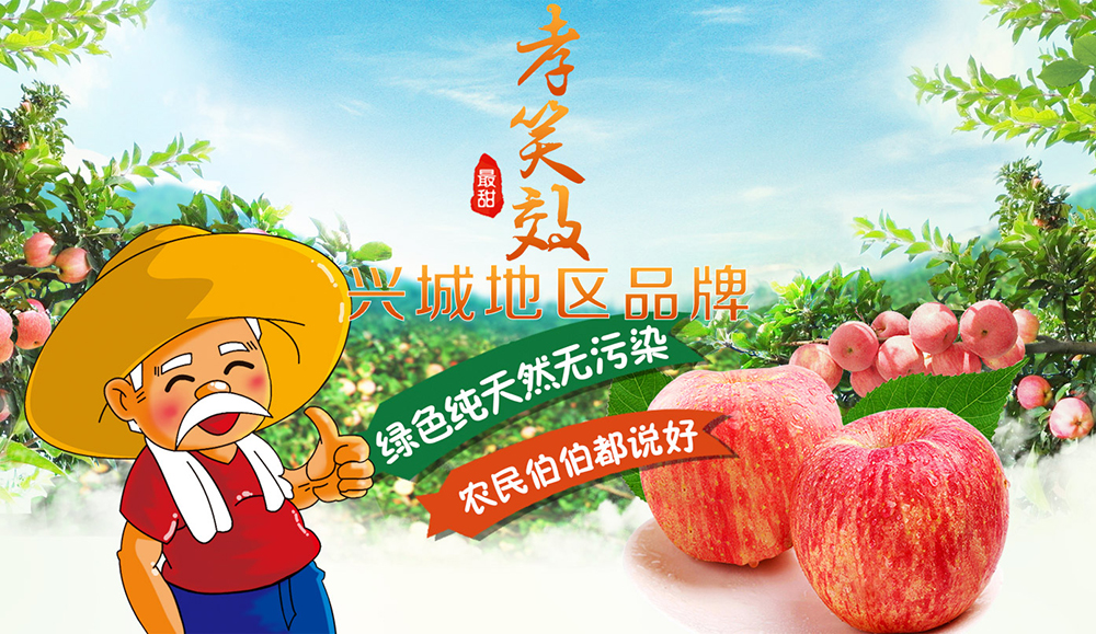 seo对sem的好处