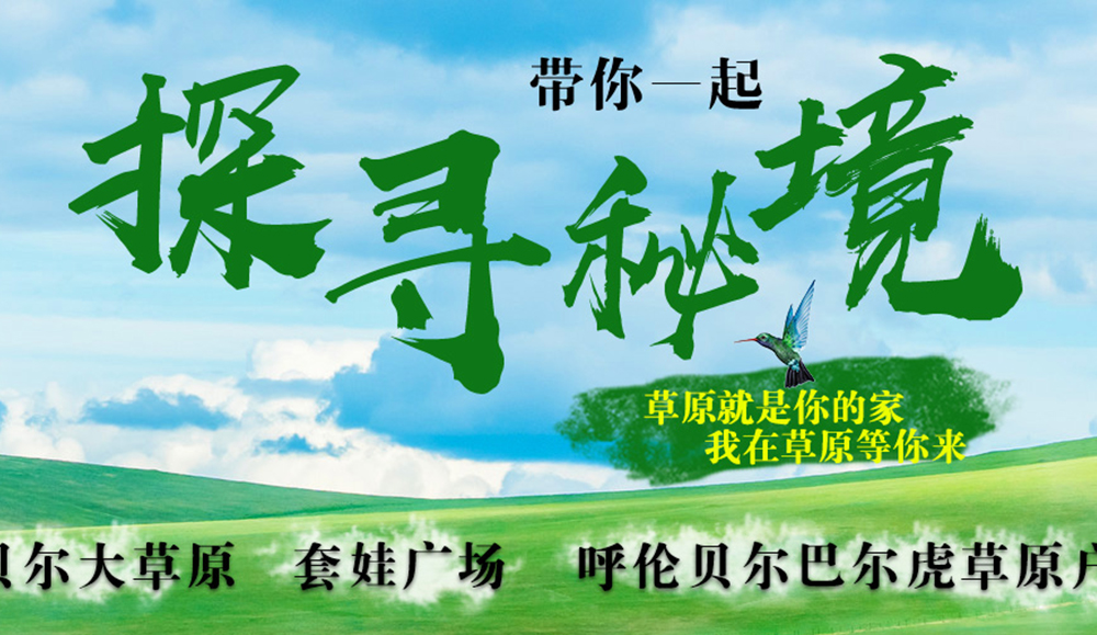 英德seo
