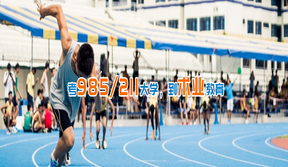 浙江seo优化