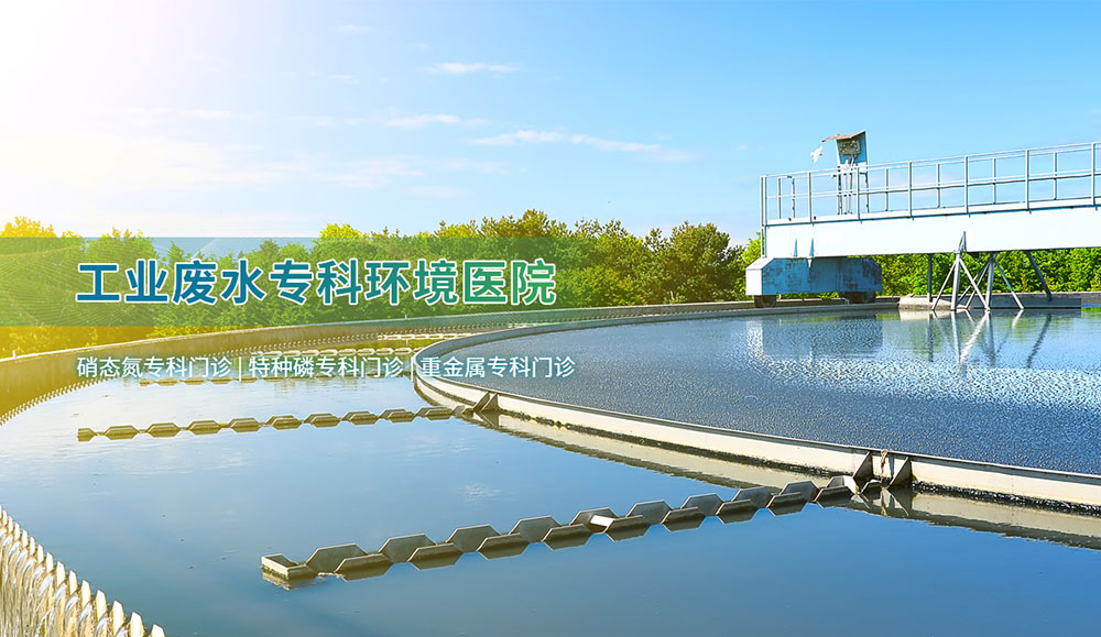 健身seo船长