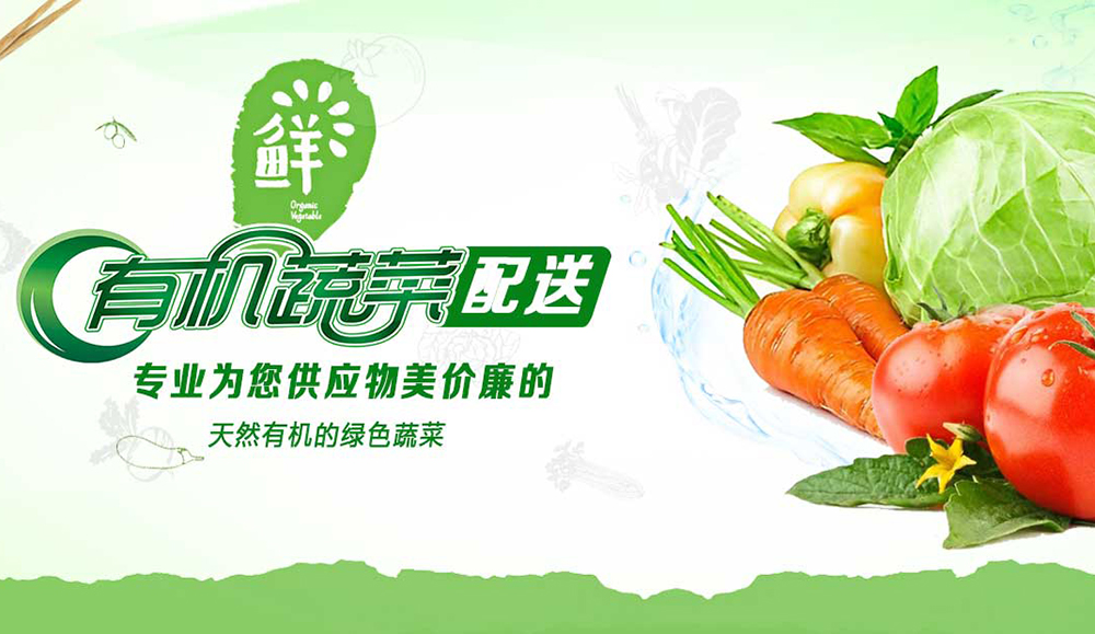 seo人才招聘信息