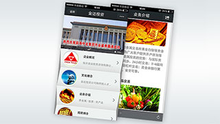 微网站|微官网-金达投资