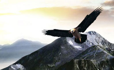 东达实业-企业网站建设