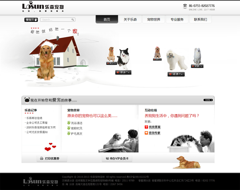 乐森宠物连锁店-宠物网站建设