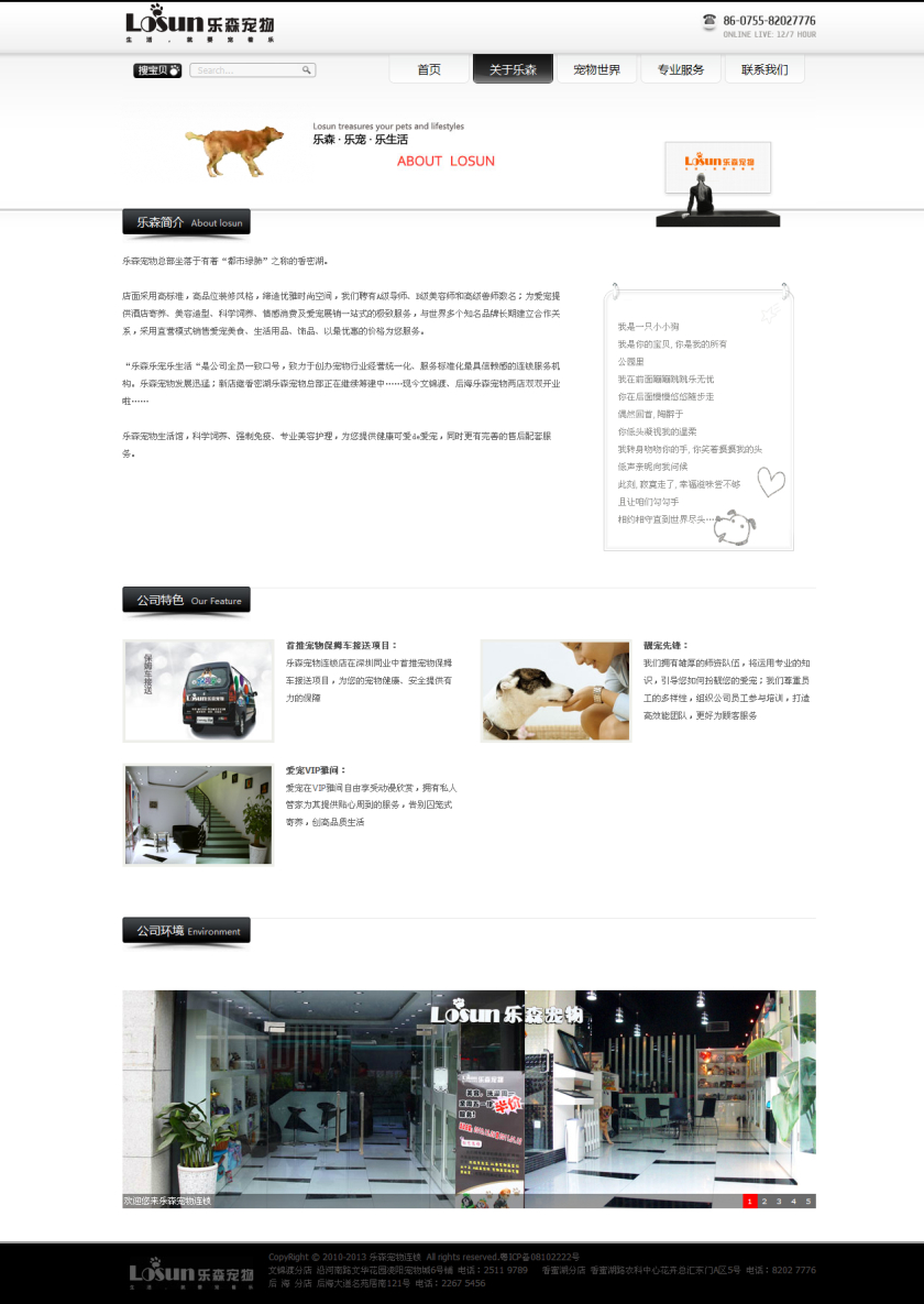乐森宠物连锁店-宠物网站建设
