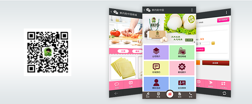 鲜内助中国微网站