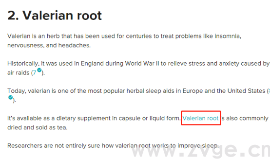 Google Ads系列：Google Ads SEO优化（二）