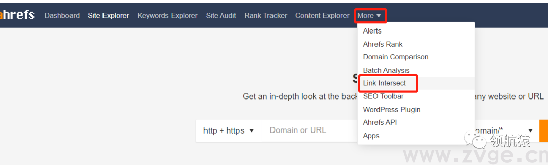 用显微镜来分析竞争对手独立站，马上抄同行作业、提升询盘！