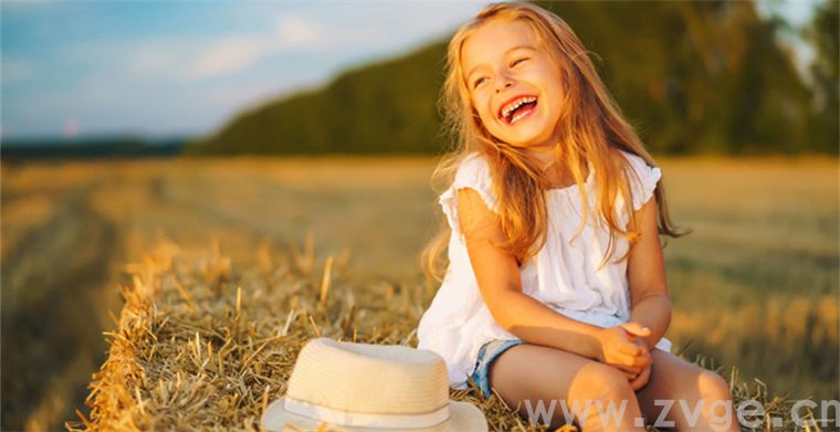 实用！Google Trends-数据分析中的风水宝地(图1)