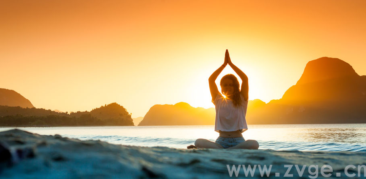 全球搜索趋势持续走高，市场规模达479亿美元