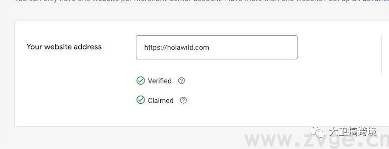 干货长文：2021年谷歌购物广告终极教程(图16)