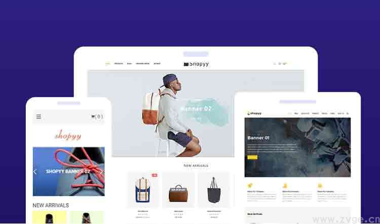 独立站运营|新手建站的首要需求(图1)