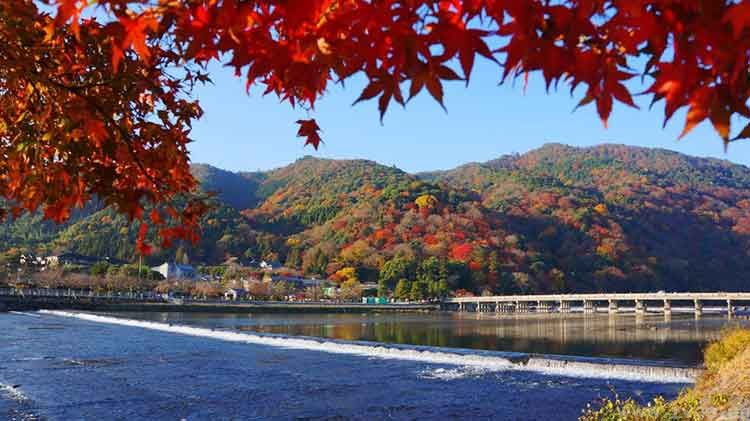 爆款打造|跨境独立站下半年节日预告+热门产品盘点(图2)