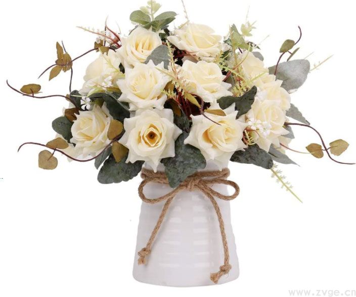 shopify电商商品主图